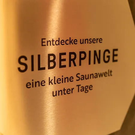 Mini-hôtel Naturhotel Basislager Fichtelberg Oberwiesenthal