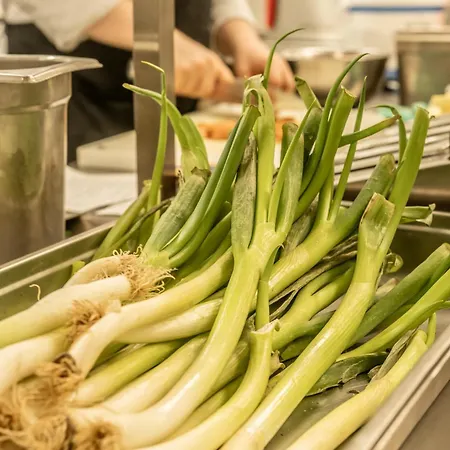 Naturhotel Basislager Fichtelberg Oberwiesenthal